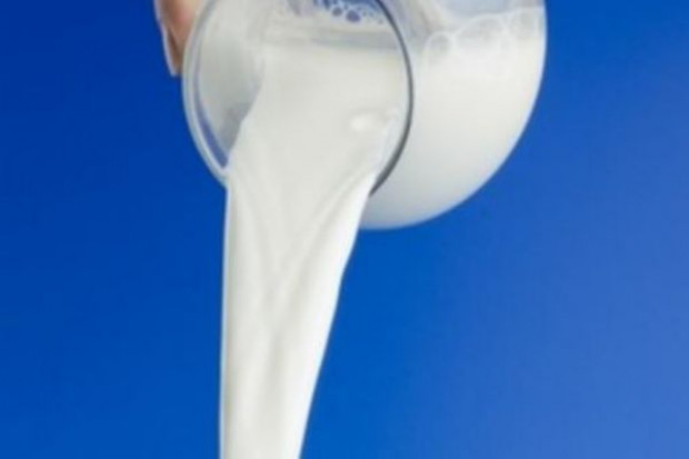 Niemcy nie przekroczyły kwoty mlecznej w sezonie 2008/09