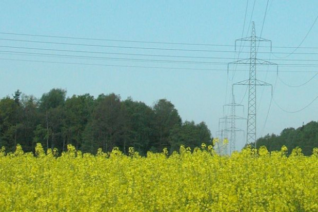 Zapotrzebowanie na biopaliwa podbije ceny zbóż