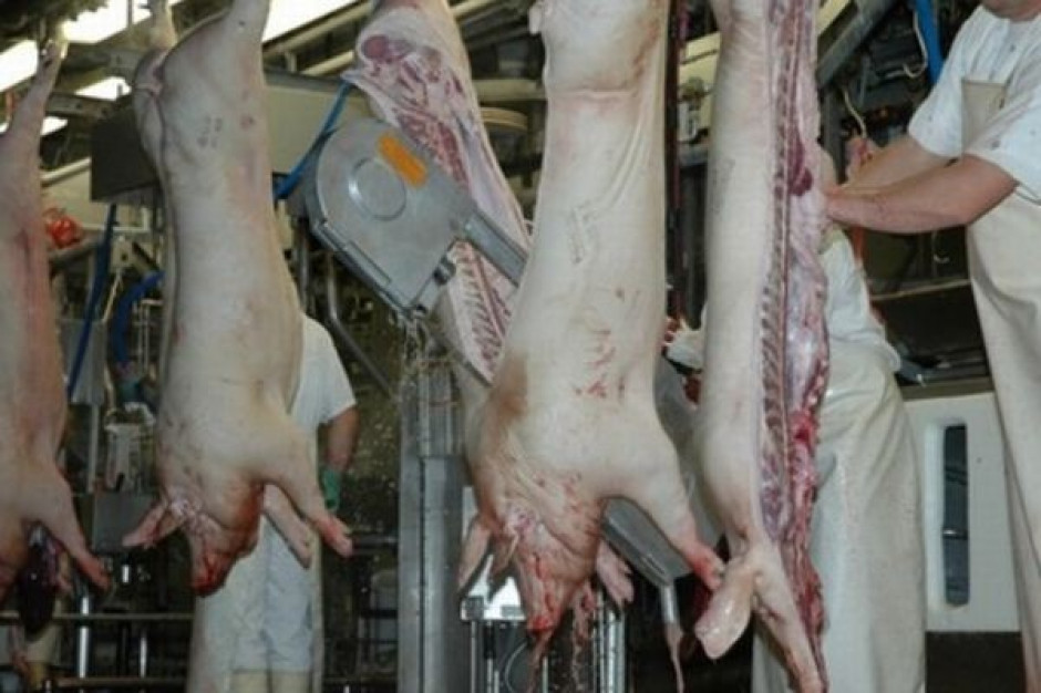 Chiny wstrzymały import wieprzowiny z Meksyku i części USA