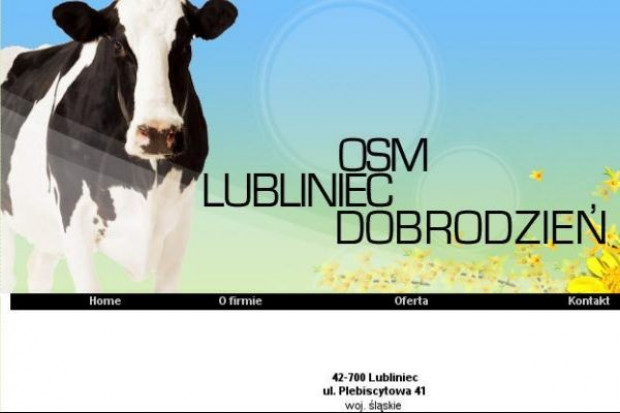 Prezes OSM Lubliniec: W I połowie br. sprzedaż spadła o 10-15 proc.