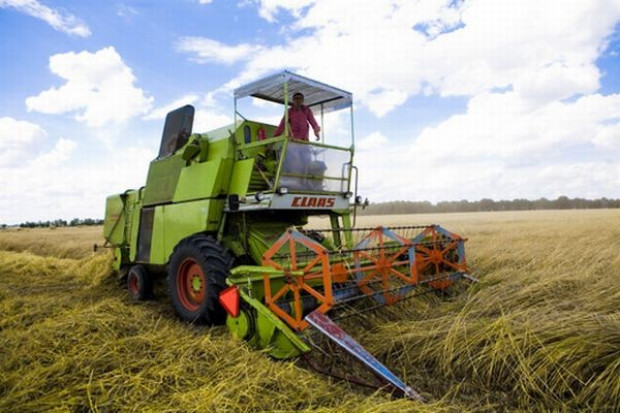 Nowy prezes KFPZ: Tegoroczne zbiory zbóż wyniosą 25 mln ton