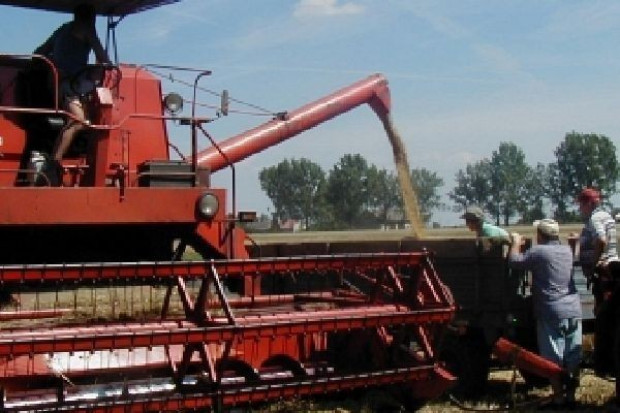 fot. www.witrynawiejska.org.pl Do końca sierpnia ruszy program pilotażowy sprzedaży ziarna energetycznego