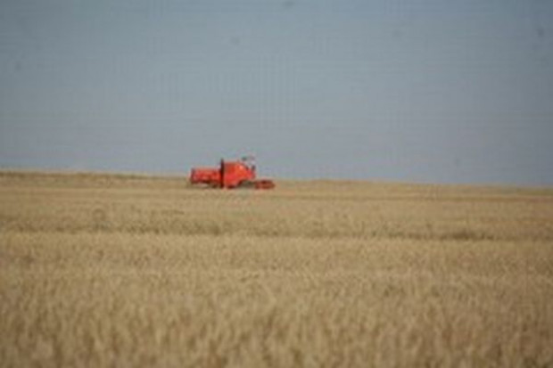 Producenci żywności w Europie przeżywają poważny kryzys