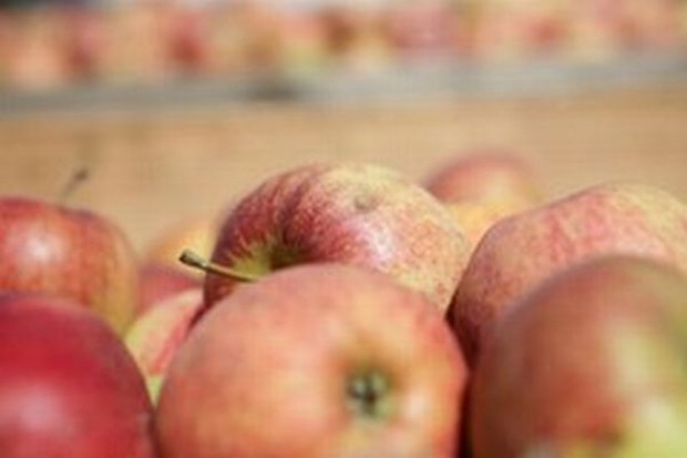 ARiMR wypłaciła grupom producentów owoców i warzyw ponad 254 mln zł
