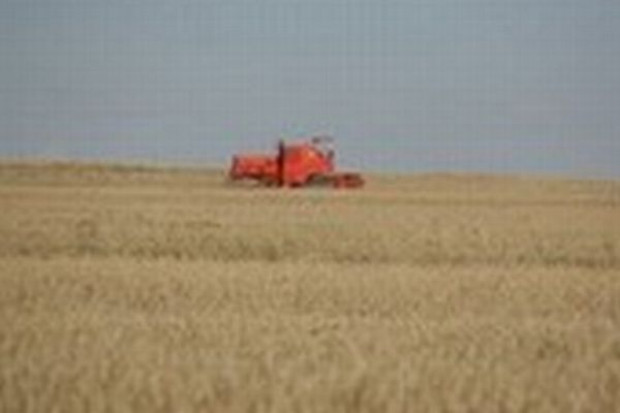 Rolnicy muszą zwrócić dopłaty, bo urzędnicy się pomylili