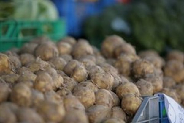 Zbiory ziemniaków w Polsce będą w tym roku niższe