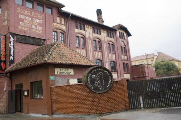 Zmniejszająca się ilość pszczół nie wpłynie na produkcję miodów pitnych