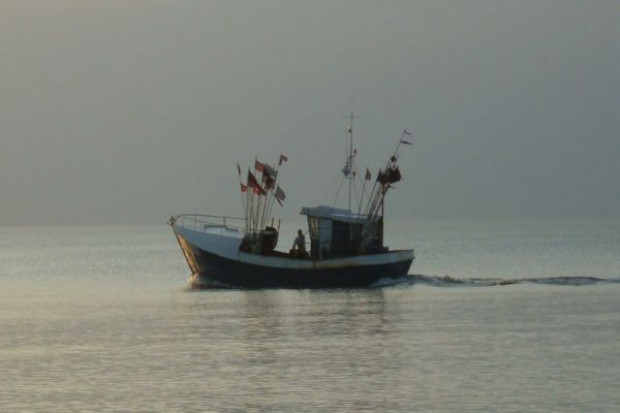 Wylosowano kutry, które w 2010 roku będą mogły łowić dorsze