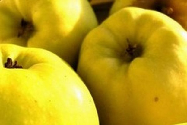 Produkcja owoców spadła o 5 proc. a warzyw wzrosła o 7 proc. w 2009 r.