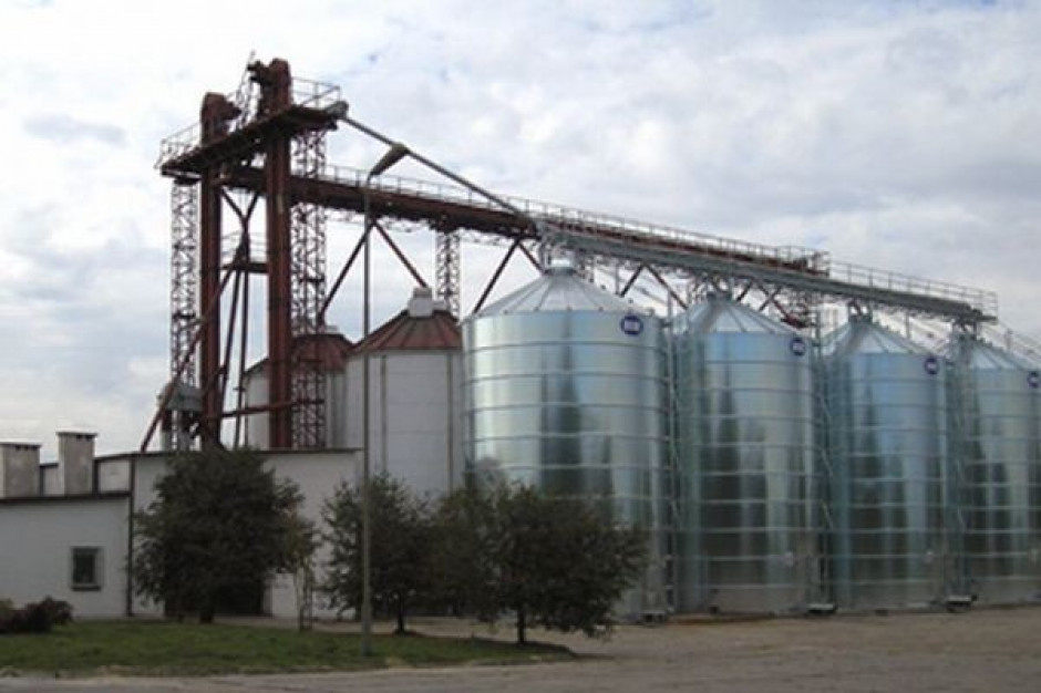Kernel Holding przejmie kontrolę nad firmą Allseeds