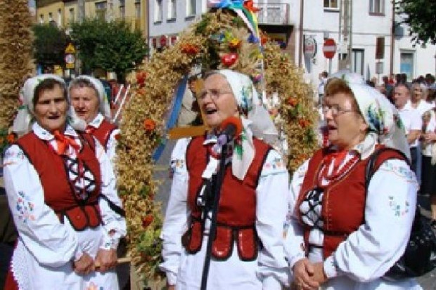 Kłótnia w koalicji. Czy będzie zakaz picia wódki na festynach i dożynkach?
