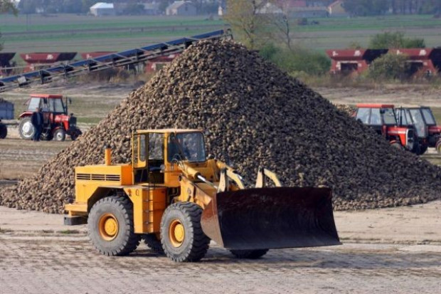 KSC wyprodukowała w sezonie 2009/2010 ponad 607 tys. ton cukru