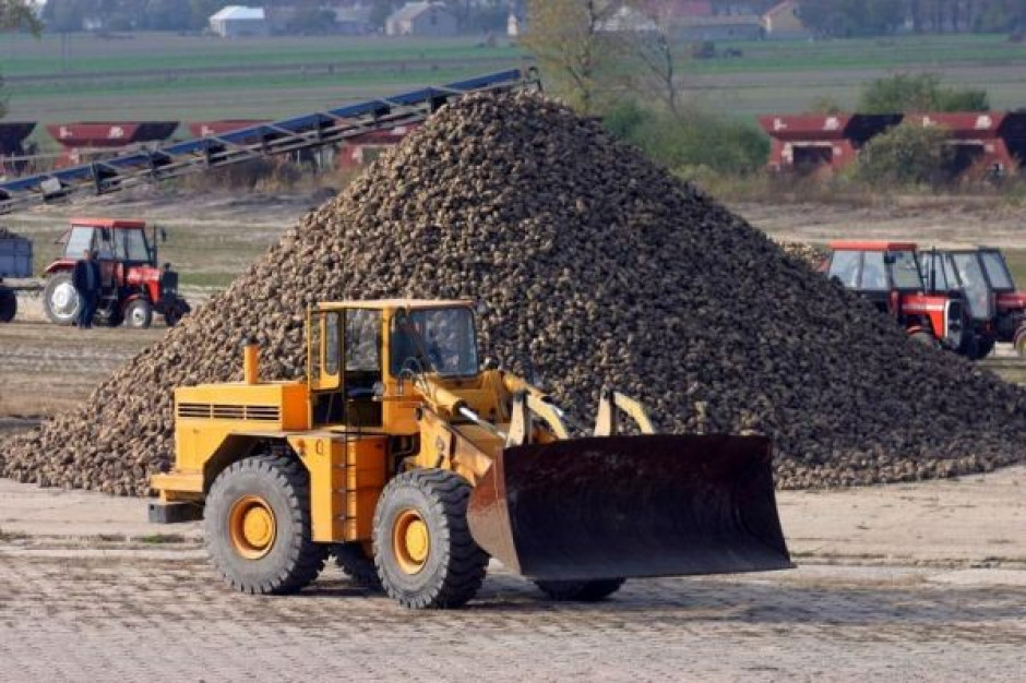 KSC wyprodukowała w sezonie 2009/2010 ponad 607 tys. ton cukru
