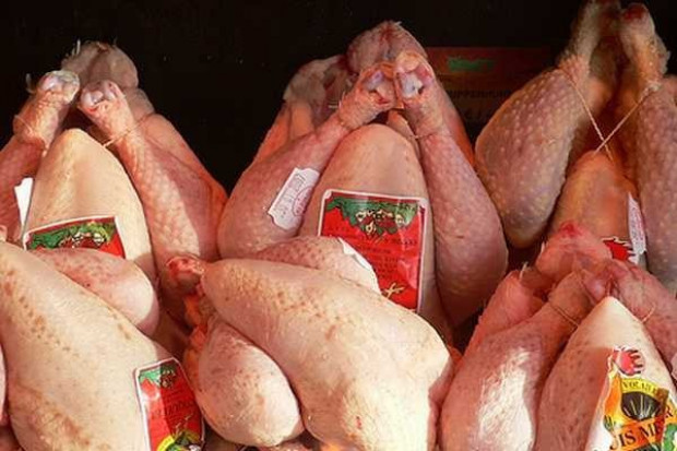 Indykpol inwestuje w produkcję i przetwórstwo kurcząt
