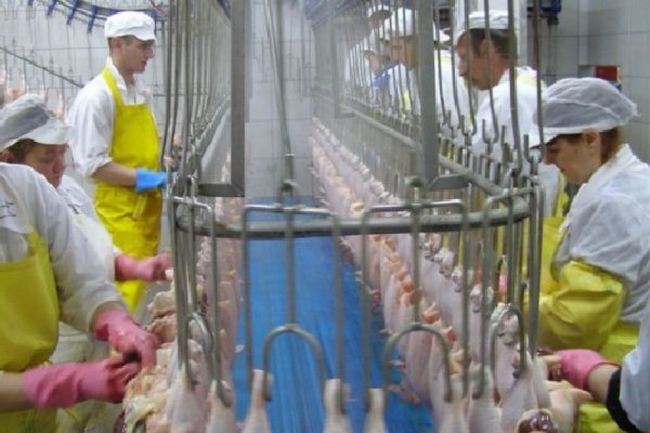 fot. elczar.pl W 2009 r. polscy producenci drobiu wysłali za granicę produkty za za 649,2 mln euro