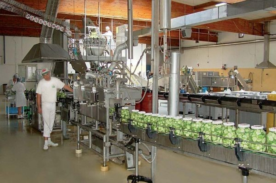 Bracia Urbanek: Kryzys przyniósł pozytywne skutki