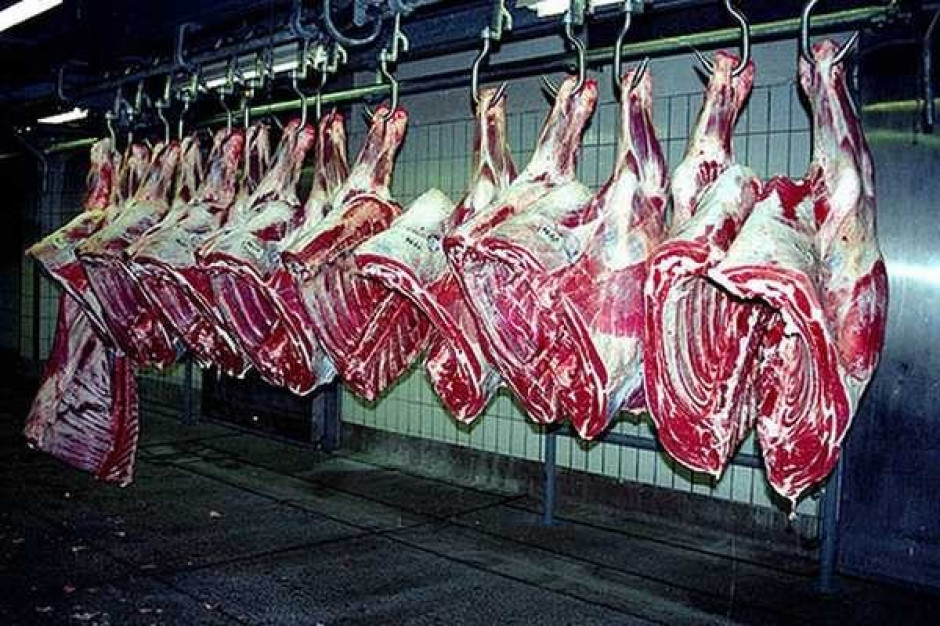 Argentyna wstrzymała eksport wołowiny