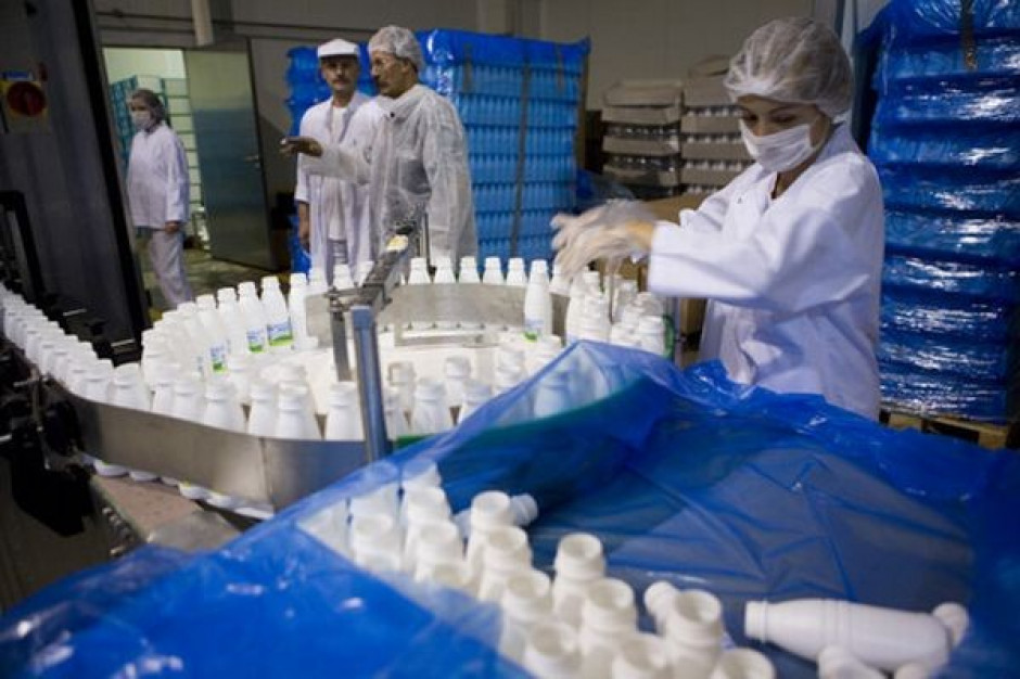W 2010 r. w USA nieznacznie wzrośnie wielkość produkcji mleka