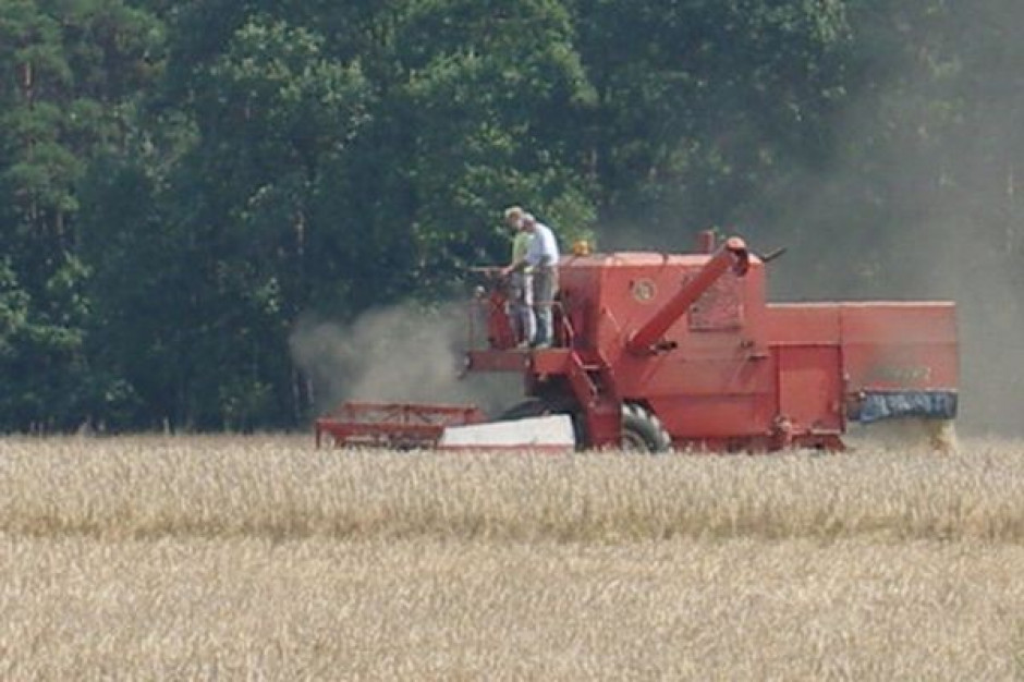 Powódź to katastrofa dla rolników. Zbiory zbóż z ponad połowy upraw będą mniejsze