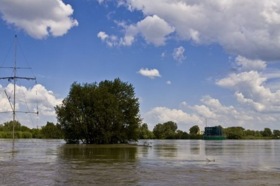 Resort rolnictwa: Pełne oszacowanie strat w rolnictwie jeszcze nie możliwe. Pracujemy nad pakietem pomocy dla powodzian