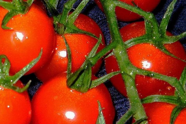 Heinz: Właściciele spółek są bardziej skłonni do sprzedawania udziałów w czasie kryzysu
