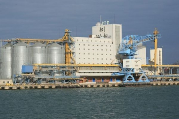 W tym roku w Gdańsku może ruszyć port zbożowy