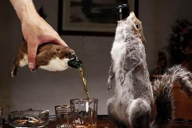 fot. www.brewdog.com BrewDog szokuje: sprzedaje piwo w wypchanych zwierzętach