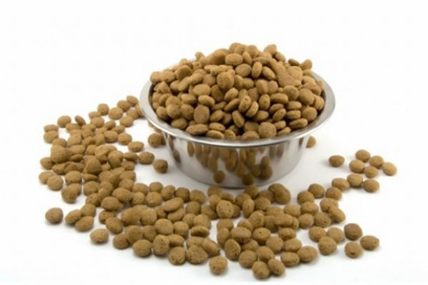 Nestle Purina PetCare: Rynek karm dla zwierząt rośnie w tempie 12,8 proc.