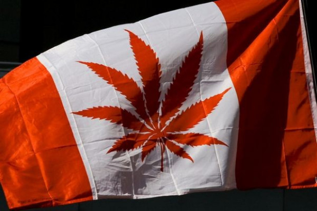 Źródło fot.: Flickr.com We Wrocławiu marsz zwolenników legalizacji marihuany