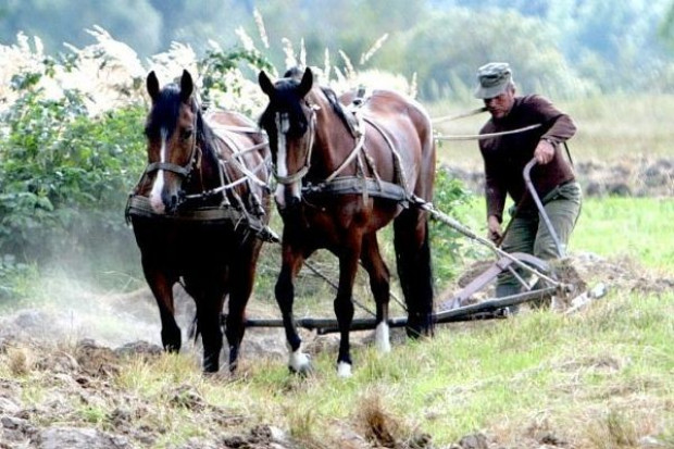 fot. Strefa Biznesu Ekonomiści chcą całkowitego zniesienia dopłat rolnych
