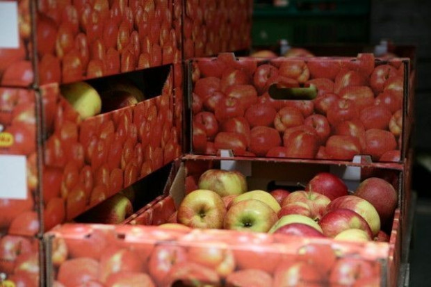 Wartość eksportu produktów rolno-spożywczych ogółem w pierwszej połowie 2011 r. wyniesie około 6,3 mld euro Raport IERiGŻ: Ok. 1,4 mld euro nadwyżki w handlu żywnością w I połowie 2011 r.?