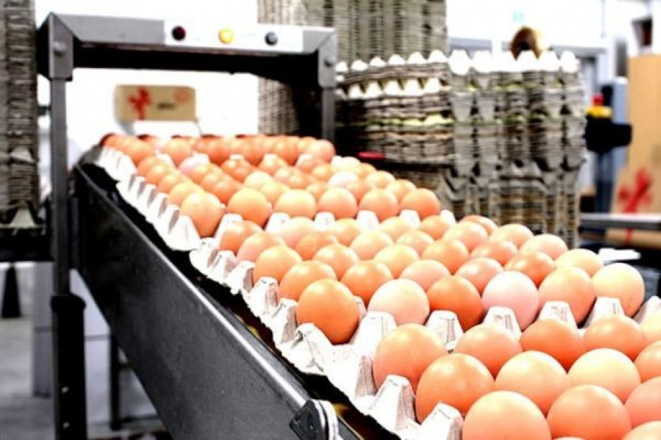 Pekin zawiesił import niemieckich jaj i wieprzowiny
