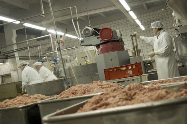 Rolnicy chcą zakazu importu niemieckiej wieprzowiny