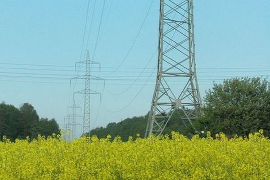 W 2010 r. przerób rzepaku zmalał o 100 tys. ton Przerób rzepaku spadł o 4 proc.