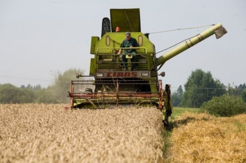 IGC: Zbiory zbóż na świecie w sezonie 2010/11 wyniosą 1,726 mld ton