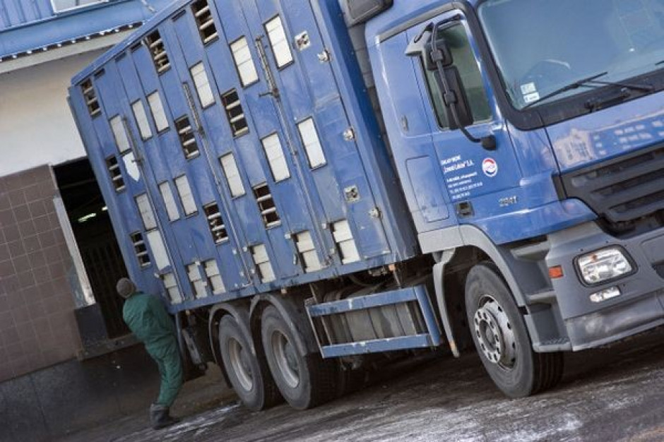 Eksporterzy mięsa na Ukrainę mają problem