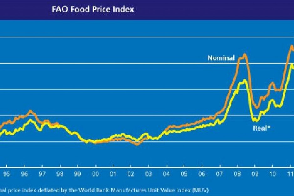 FAO: Ceny żywności mogą znów zacząć rosnąć