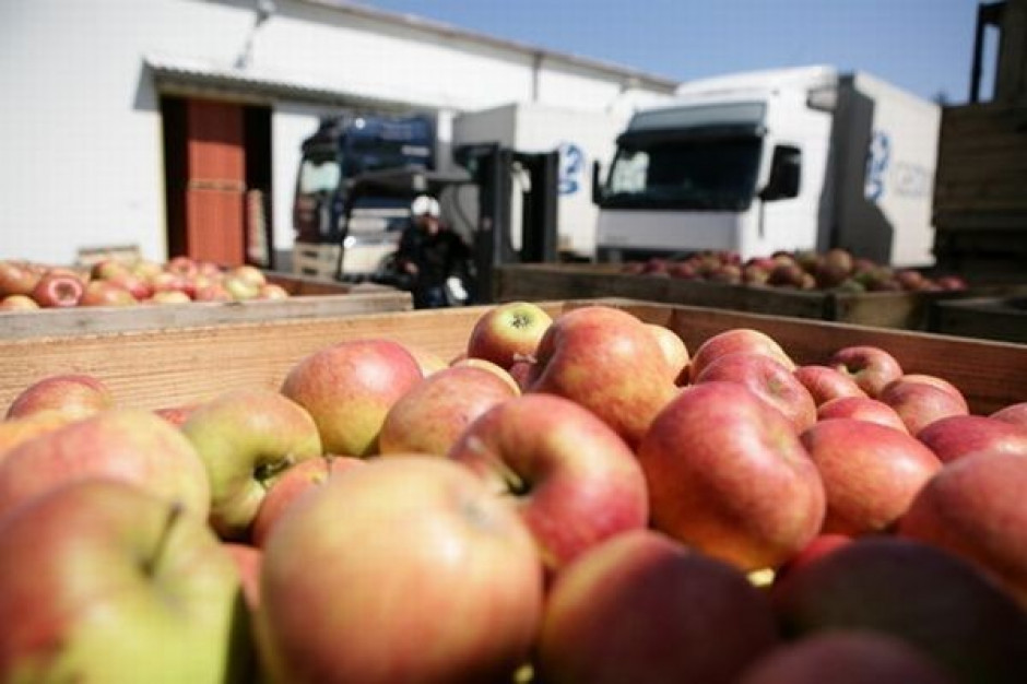Branżowe organizacje namawiają producentów jabłek do stosowania w uprawie nowych zasad ochrony
