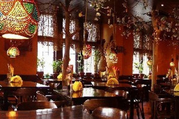 Sfinks Polska zarządza 109 restauracjami Sylwester Cacek kupił 4,53 proc. akcji Sfinksa za 3,56 mln zł