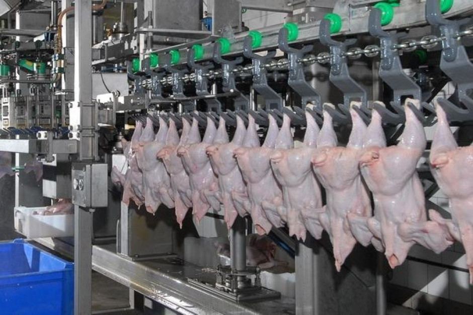 W ciągu ostatnich 5 lat produkcja drobiu w Rosji wzrosła aż o 75 proc. Rosyjski drób zaleje Europę?