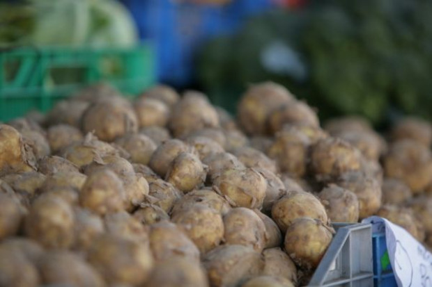 Produkcja ziemniaków w Polsce jest coraz mniejsza Nadal zmniejsza się produkcja ziemniaków w Polsce
