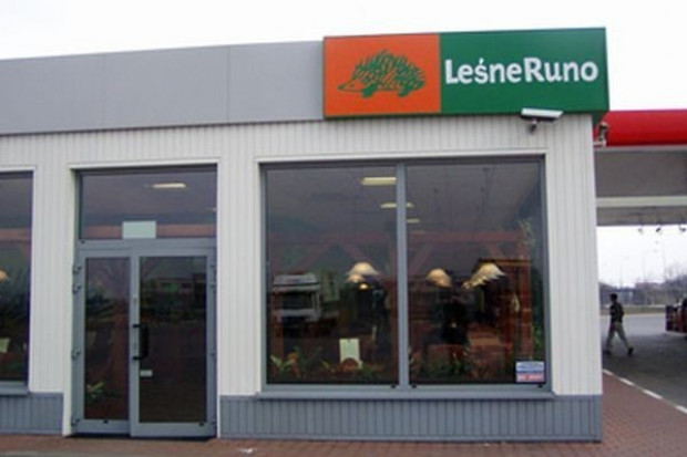 Leśne Runo opóźnia inwestycje