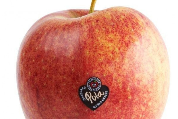 Cena sugerowana na półce to 2,99 zł za 1 kg jabłek Pola Jabłka Pola pojawią się również na światowych rynkach