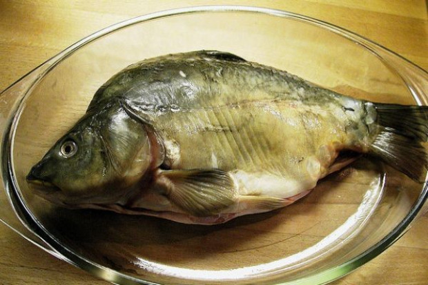 Karpie z regionu świętokrzyskiego produktami tradycyjnymi