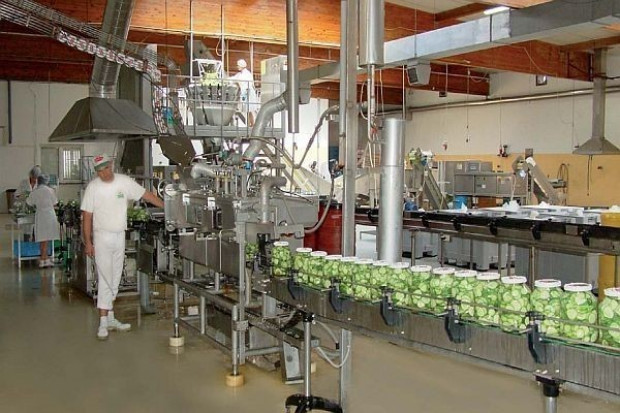 Firma Bracia Urbanek przygotowują się do świąt już od września Bracia Urbanek: Sprzedaż niektórych produktów przed świętami wzrasta nawet kilkakrotnie
