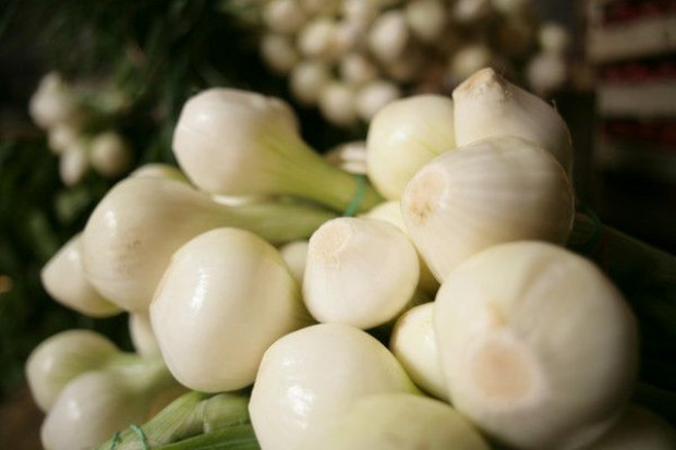 Ceny cebuli w hurcie wahają sie od 0,28 zł do 0,65 zł/kg Na rynkach hurtowych za cebulę trzeba zapłacić od 0,28 zł do 0,65 zł/kg