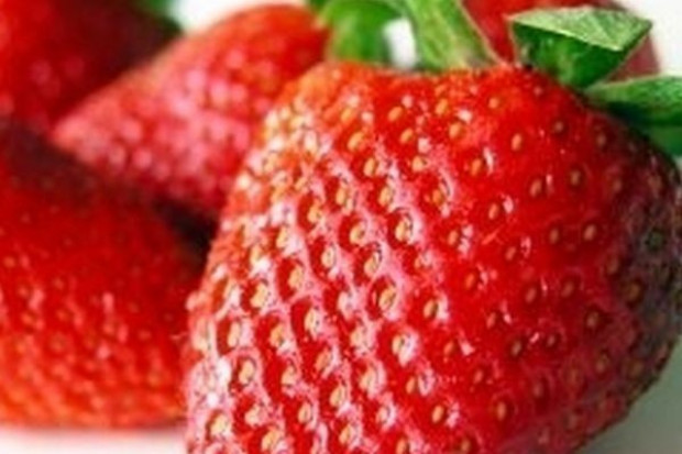 Unijni producenci truskawek zapowiadają dobre zbiory