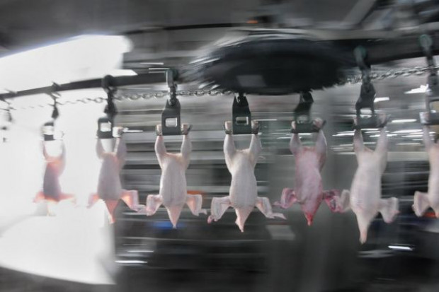 Prezes ZD Koziegłowy: Klient oczekuje powtarzalności produkcji