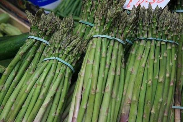Niemcy, Hiszpania, Włochy i Holandia znaczącymi producentami szparagów w Europie