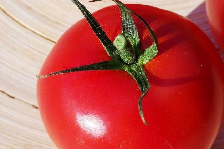 W 2011 roku Chiny wyeksportowały 1 mln 120 tys. ton pomidorów i ich przetworów Chiny od lat są największym producentem pomidorów na świecie
